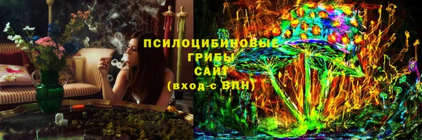 экстази Белокуриха