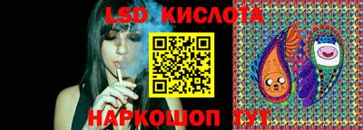 прущие грибы Лесосибирск