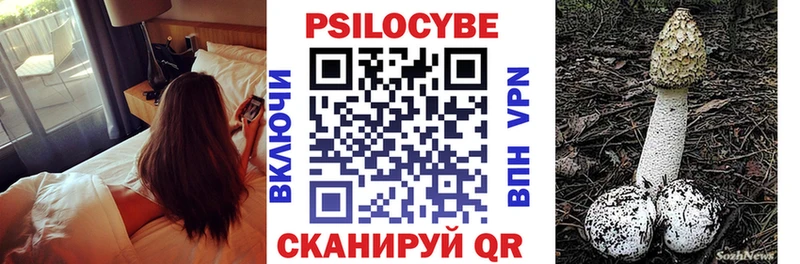 Псилоцибиновые грибы Cubensis  Вязьма 