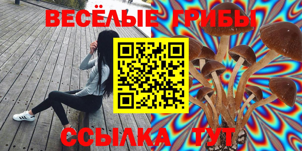 Вязьма  Галлюциногенные грибы Psilocybe  Псилоцибиновые грибы Psilocybine cubensis  Вход с VPN 
